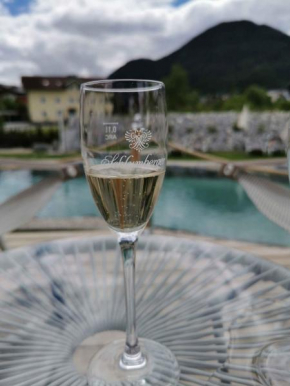 Apartments in Flachau - Salzburger Land 35293